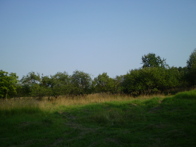  (640x480, 164Kb)