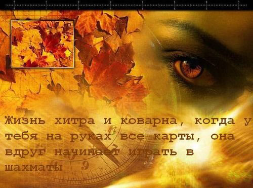  (500x371, 75Kb)
