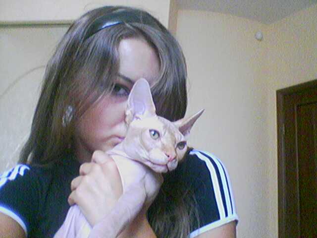  (640x480, 24Kb)