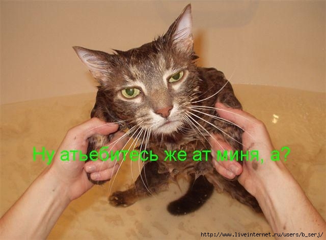  (640x472, 40Kb)