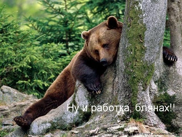  (640x480, 92Kb)