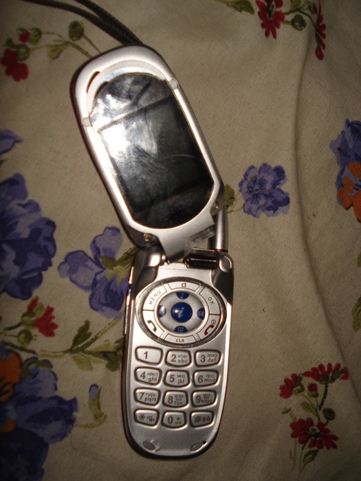  (525x700, 164Kb)