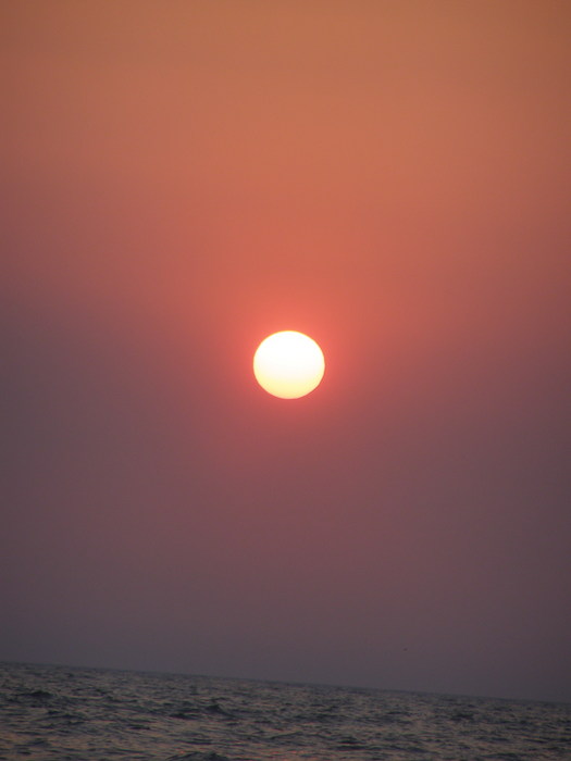  (525x700, 32Kb)