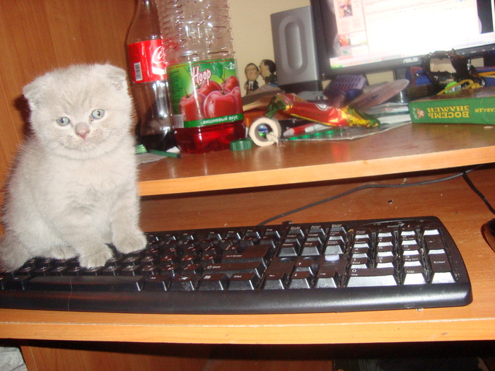  (700x525, 179Kb)
