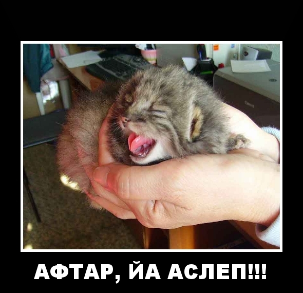  (590x570, 177Kb)