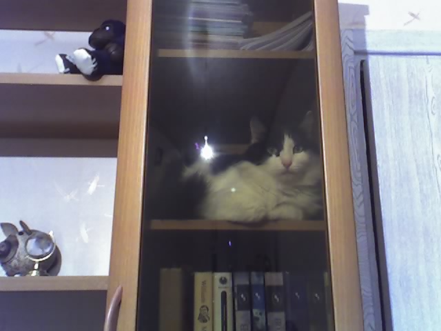  (640x480, 57Kb)