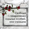  (100x100, 29Kb)