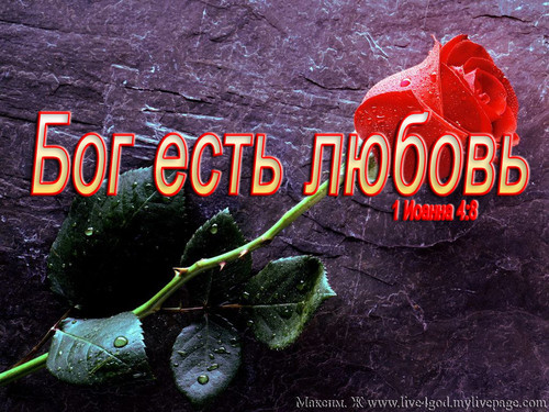  (500x375, 100Kb)
