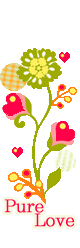  (80x248, 48Kb)