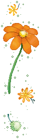  (80x272, 8Kb)