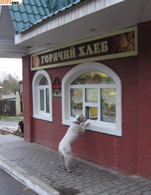  (520x672, 72Kb)