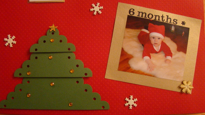 DSC01224 (699x393, 110Kb)