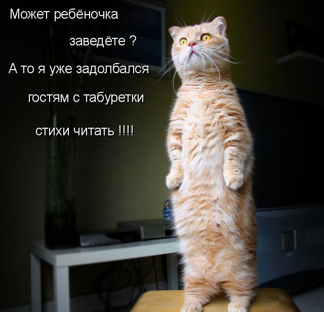  (640x618, 43Kb)