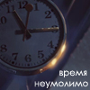  (100x100, 24Kb)