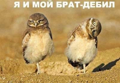  (401x279, 28Kb)