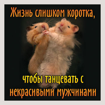  (360x360, 36Kb)