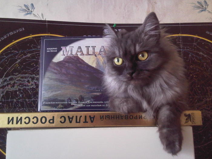 Photo-0037 (700x525, 49Kb)
