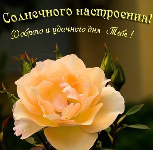  (600x588, 65Kb)