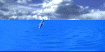dolphins (150x75, 63Kb)