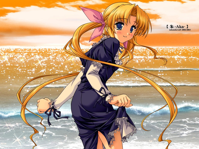  (700x525, 173Kb)