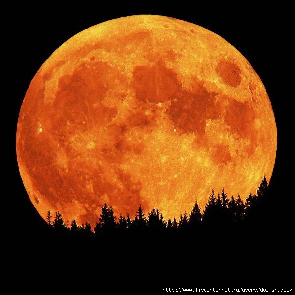  (600x600, 38Kb)