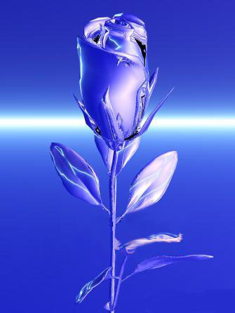 bluerose (335x446, 30Kb)