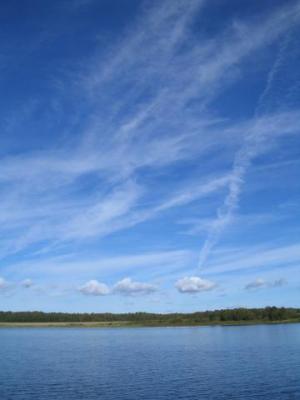 IMG_0619 (300x400, 17Kb)