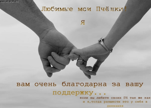 2564464_154922_pchelochki (500x358, 78Kb)