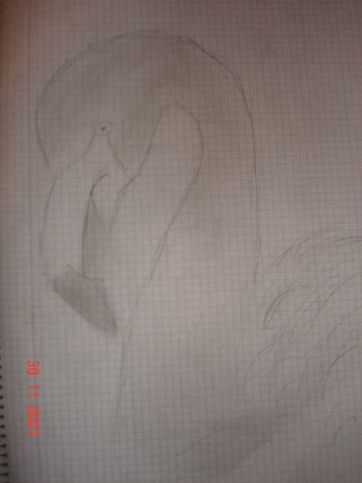  (525x700, 121Kb)