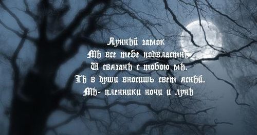  (500x264, 34Kb)