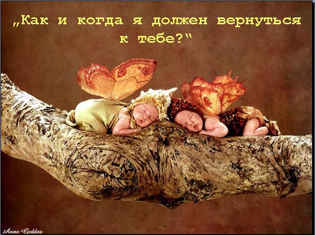  (648x484, 86Kb)