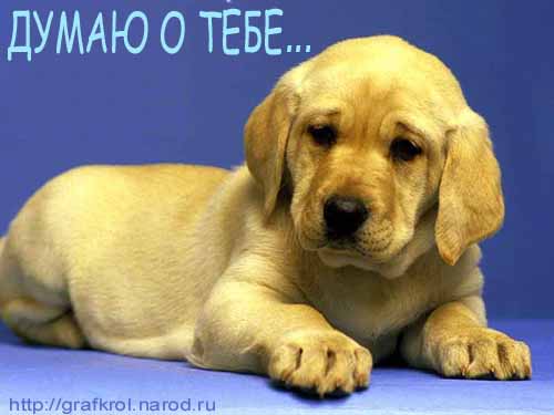 (500x375, 17Kb)