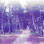  (150x150, 56Kb)