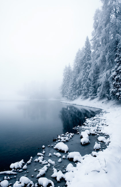 http://img0.liveinternet.ru/images/attach/b/3/11/108/11108003_8854610_first_snow_by_Ivan_Suta.jpg