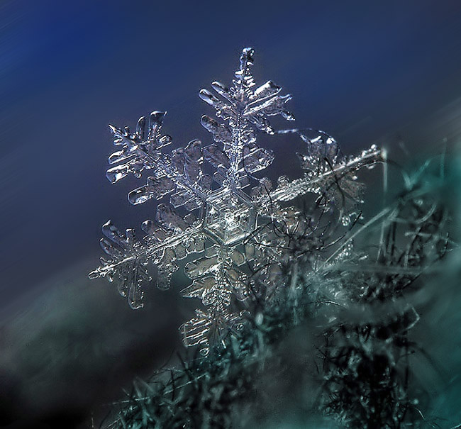 SnowFlake_2 (650x605, 134Kb)