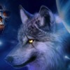 wolf8_20070313_1501533079 (100x100, 5Kb)