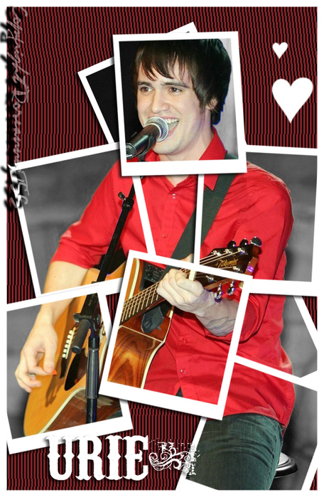 1197327506_Brendon_polaroidlargemsg119663173713 (456x699, 351Kb)