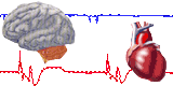  (160x80, 3Kb)