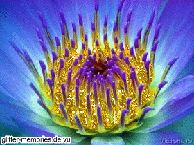  (280x210, 48Kb)