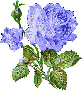 i82278242_98248_7 (265x291, 44Kb)