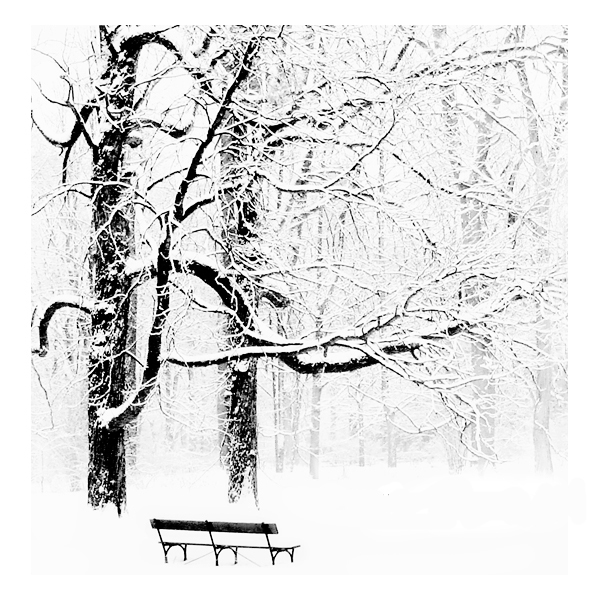  (600x600, 245Kb)