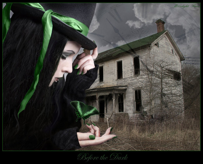 Before_the_Dark_by_M00nlight_Rain (700x566, 97Kb)