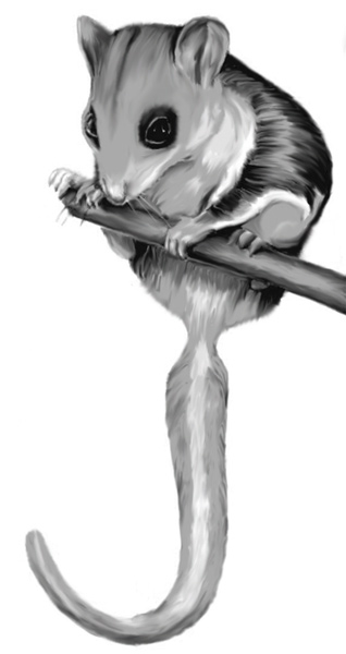  (318x600, 33Kb)