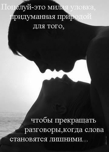 5c7643e7cc6dac957579665ba60f6ead (359x500, 23Kb)