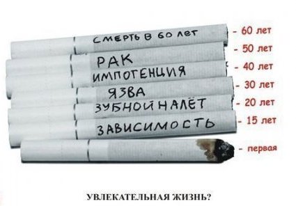  (425x296, 21Kb)