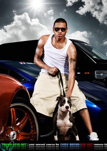 1197724810_chrisbrown_dog (357x500, 44Kb)