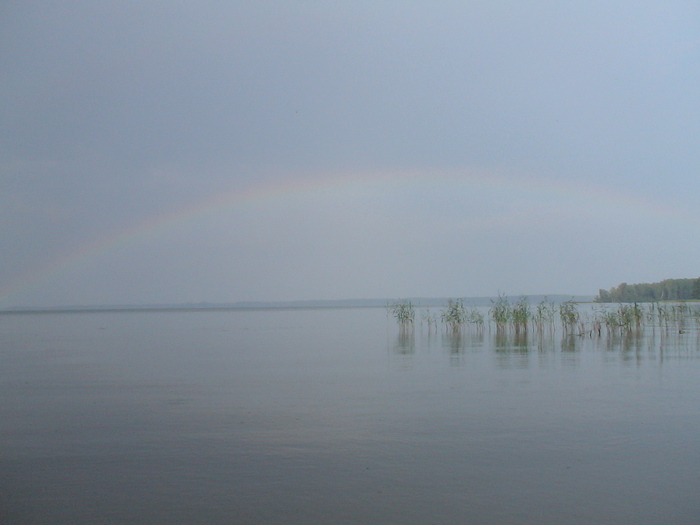 DSC08012 (700x525, 96Kb)