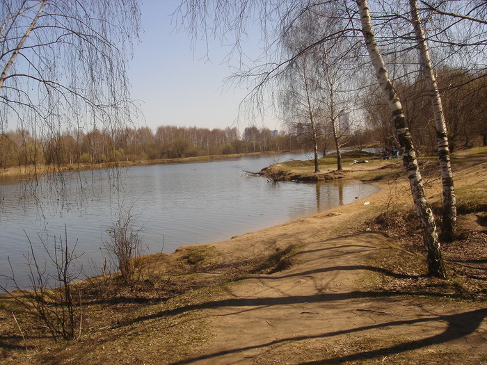  (700x525, 169Kb)
