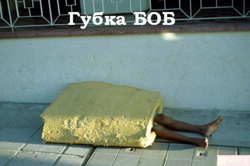  (500x333, 29Kb)