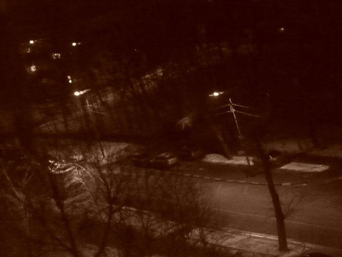 P1010218 (700x525, 28Kb)